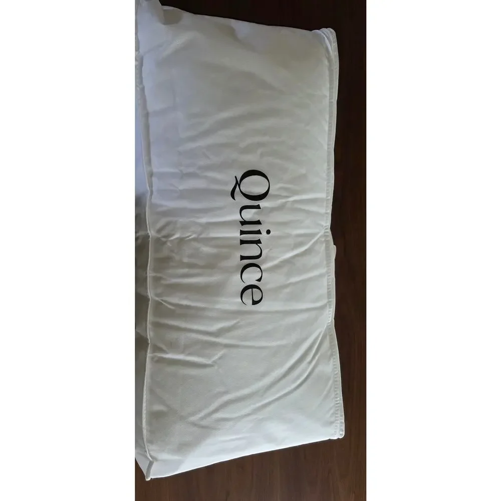 Quince Luxe King Size Goose Down Soft Pillow - NEW
